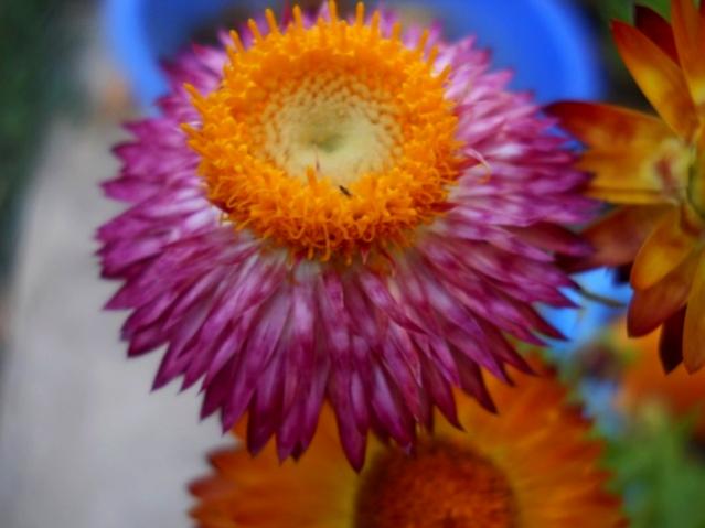 Name:  DSCN7321.jpg
Views: 713
Size:  33.3 KB