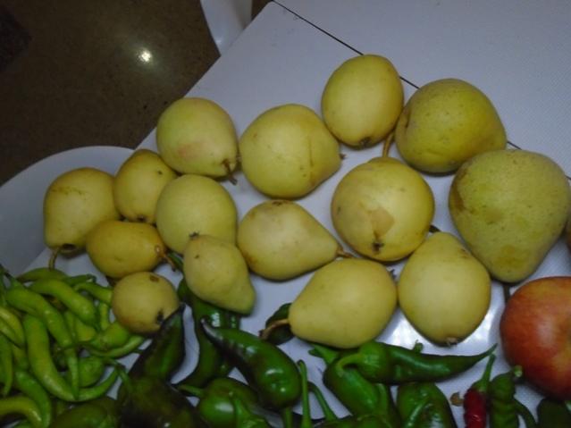 Name:  DSC00292.jpg
Views: 821
Size:  31.7 KB