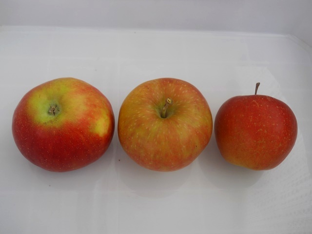 Name:  DSCN7503.JPG
Views: 732
Size:  50.8 KB