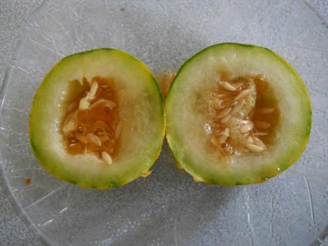 Name:  DSCN7520.jpg
Views: 721
Size:  37.3 KB