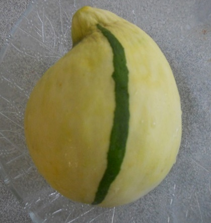 Name:  DSCN7524.JPG
Views: 711
Size:  53.2 KB