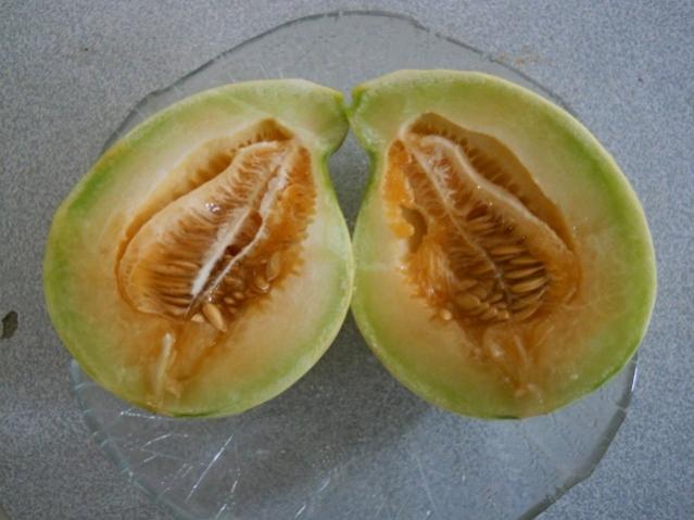 Name:  DSCN7527.jpg
Views: 708
Size:  39.0 KB