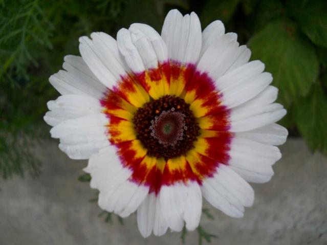 Name:  DSCN7587.jpg
Views: 671
Size:  29.0 KB