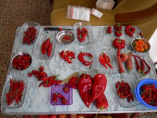 Name:  DSCN7603.jpg
Views: 585
Size:  55.2 KB