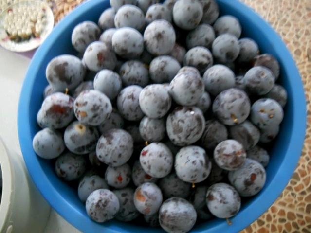 Name:  DSCN7670.jpg
Views: 540
Size:  42.6 KB
