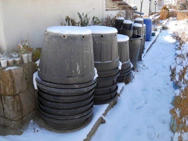 Name:  DSCN7715.jpg
Views: 1138
Size:  42.3 KB