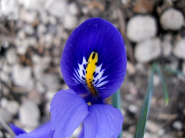 Name:  DSCN7776.jpg
Views: 835
Size:  31.0 KB