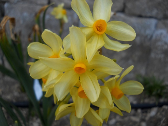 Name:  DSCN7792.JPG
Views: 811
Size:  69.6 KB