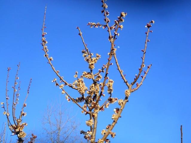 Name:  DSCN7811.jpg
Views: 826
Size:  35.3 KB