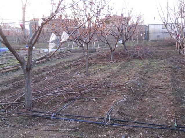 Name:  DSCN7821.jpg
Views: 776
Size:  71.1 KB