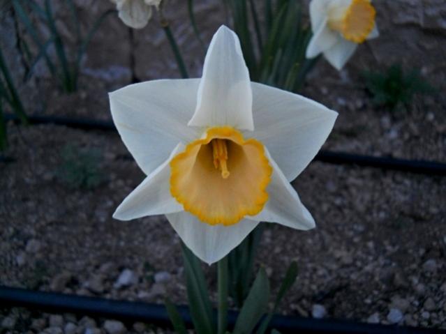 Name:  DSCN7851.jpg
Views: 589
Size:  30.2 KB