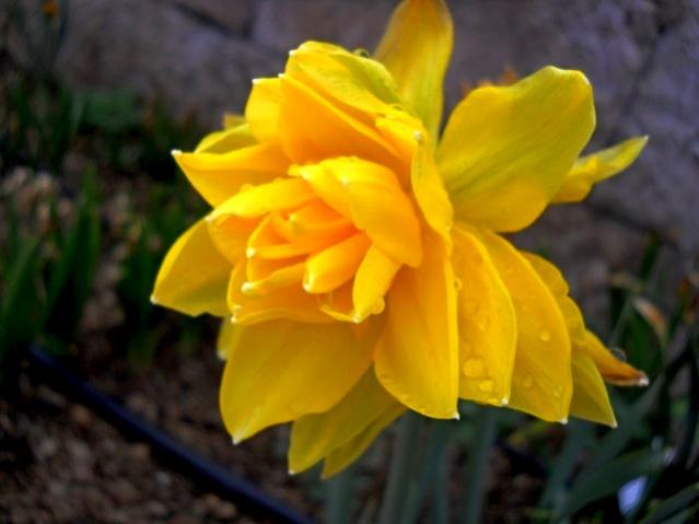 Name:  DSCN7889.jpg
Views: 592
Size:  30.9 KB