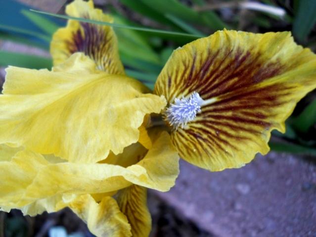 Name:  DSCN7943.jpg
Views: 467
Size:  39.0 KB