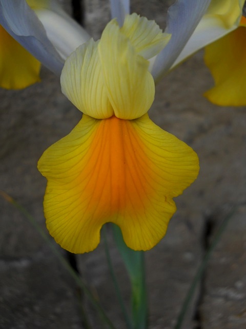 Name:  DSCN8374.JPG
Views: 707
Size:  59.5 KB