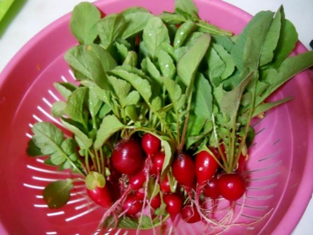 Name:  DSCN8544.jpg
Views: 753
Size:  45.9 KB