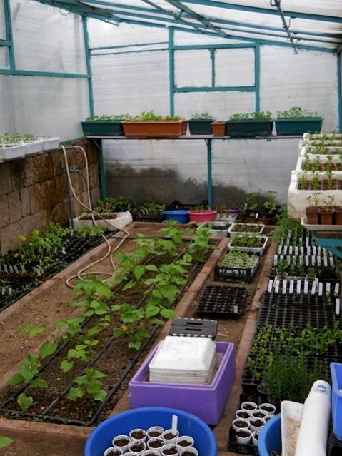 Name:  DSCN8624.jpg
Views: 604
Size:  61.1 KB