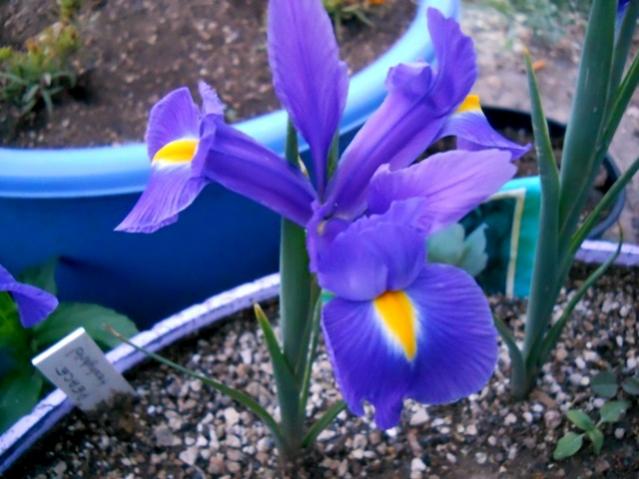 Name:  DSCN8700.jpg
Views: 513
Size:  45.4 KB