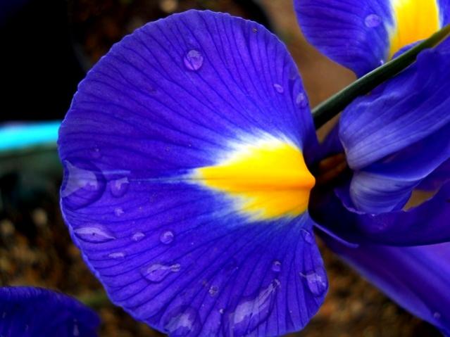 Name:  DSCN8750.jpg
Views: 421
Size:  36.3 KB