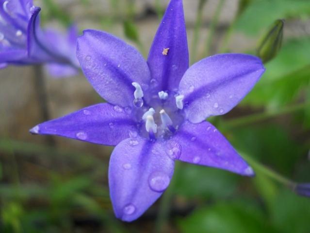 Name:  DSCN8839.jpg
Views: 927
Size:  27.8 KB