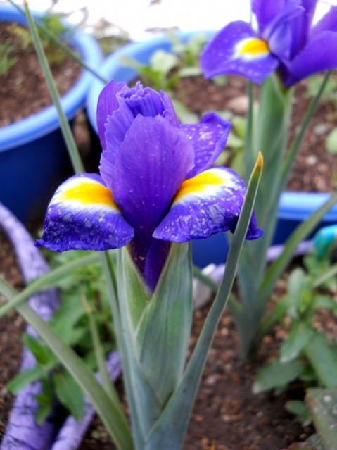 Name:  DSCN8848.jpg
Views: 884
Size:  40.7 KB