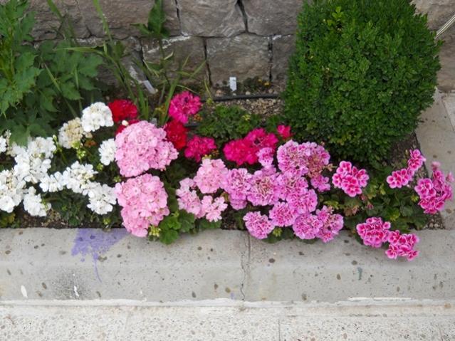 Name:  DSCN8869.jpg
Views: 677
Size:  62.6 KB
