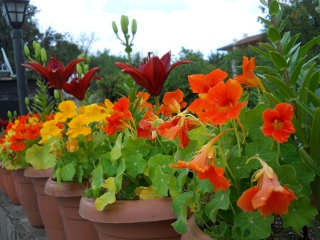 Name:  DSCN8881.jpg
Views: 639
Size:  48.3 KB