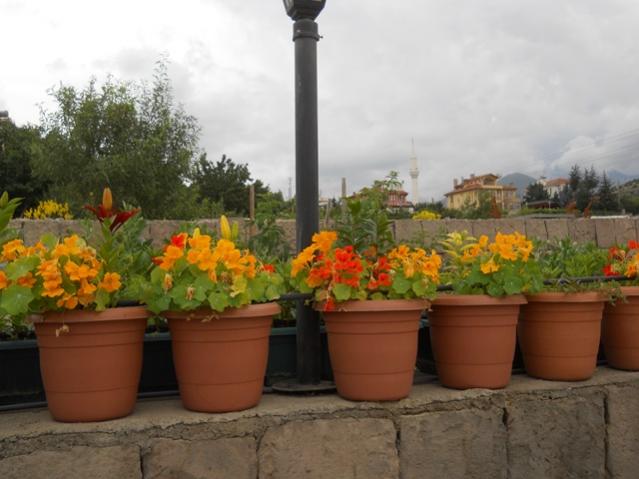 Name:  DSCN8880.jpg
Views: 670
Size:  39.6 KB