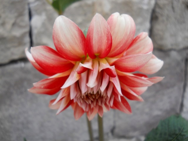 Name:  DSCN8865.JPG
Views: 882
Size:  69.2 KB