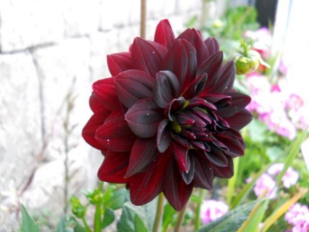 Name:  DSCN8868.jpg
Views: 912
Size:  36.0 KB
