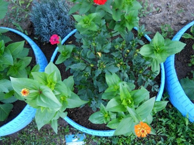 Name:  DSCN9001.jpg
Views: 686
Size:  65.8 KB