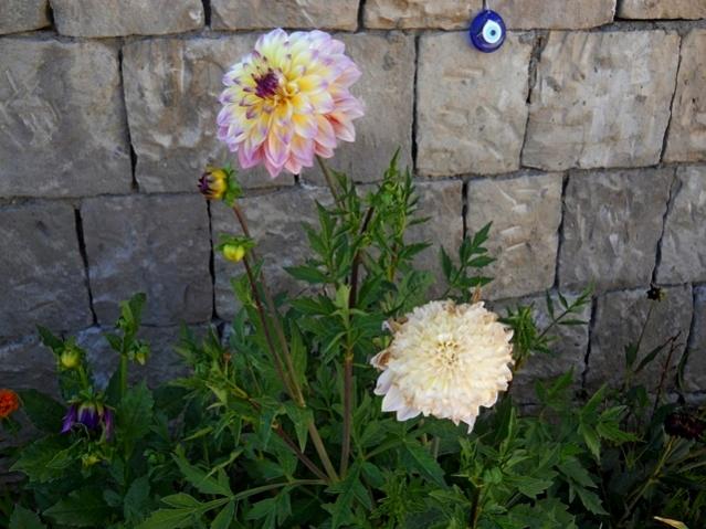 Name:  DSCN9049.jpg
Views: 593
Size:  53.5 KB