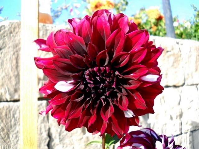 Name:  DSCN9232.jpg
Views: 532
Size:  51.3 KB