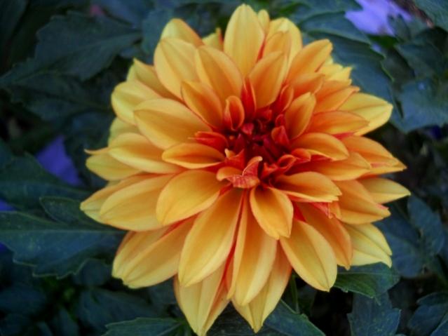 Name:  DSCN9315.jpg
Views: 501
Size:  34.9 KB