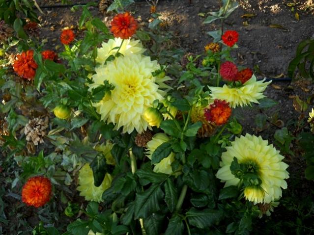 Name:  DSCN9326.jpg
Views: 516
Size:  60.7 KB