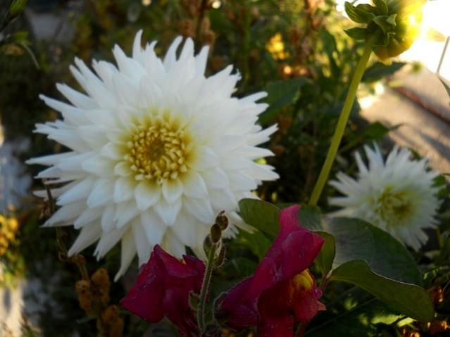 Name:  DSCN9328.jpg
Views: 494
Size:  37.0 KB