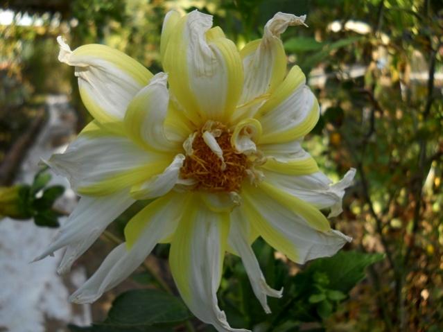 Name:  DSCN9412.jpg
Views: 535
Size:  40.0 KB