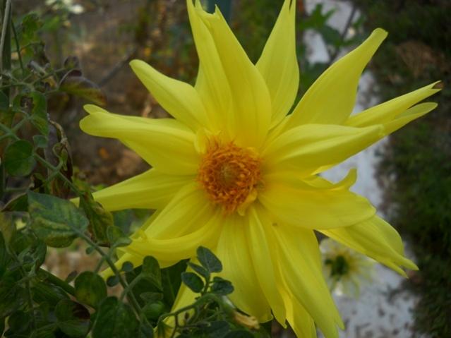 Name:  DSCN9411.jpg
Views: 491
Size:  35.2 KB