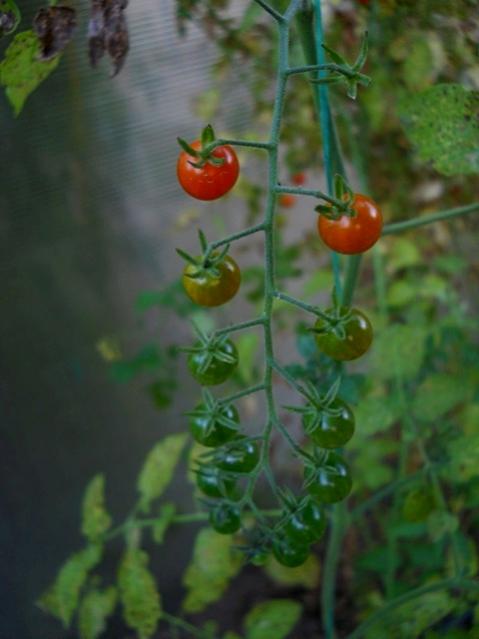 Name:  DSCN9402.jpg
Views: 389
Size:  30.9 KB