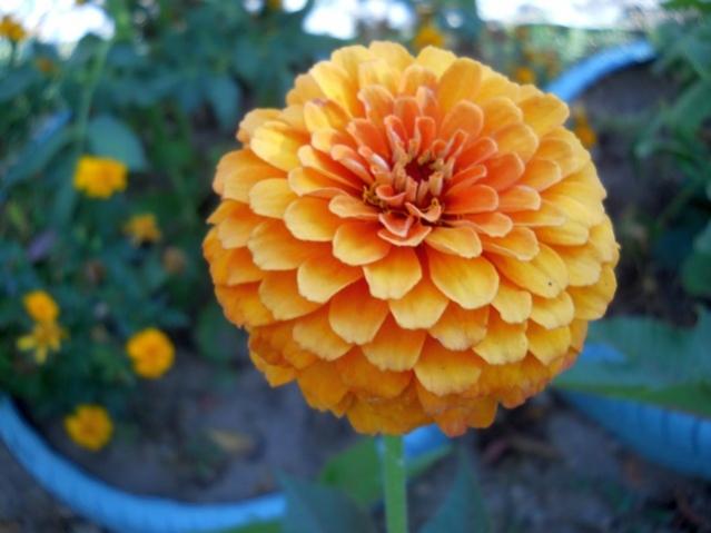 Name:  DSCN9427.jpg
Views: 1045
Size:  35.0 KB