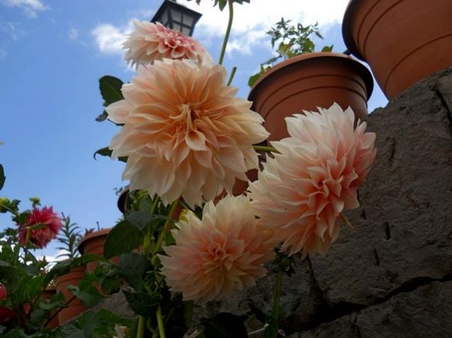 Name:  DSCN9636.jpg
Views: 950
Size:  40.9 KB