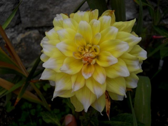 Name:  DSCN9644.jpg
Views: 933
Size:  29.3 KB