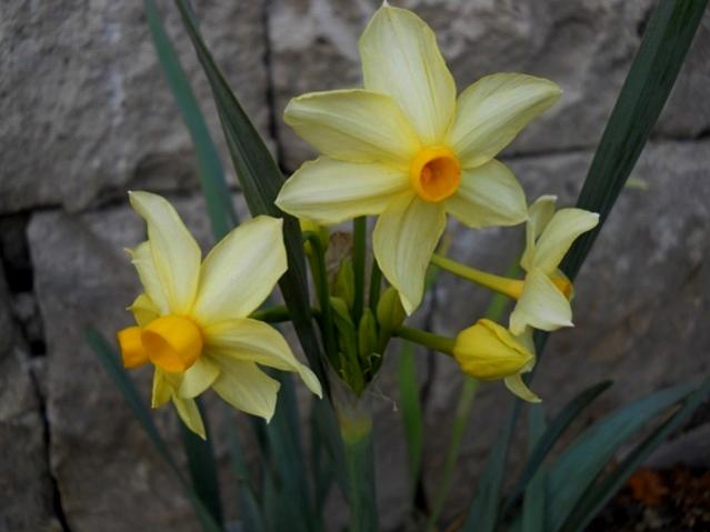 Name:  DSCN9925.jpg
Views: 533
Size:  30.8 KB