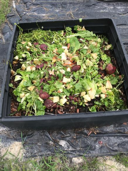 Name:  VegetableScraps.jpg
Views: 402
Size:  75.4 KB