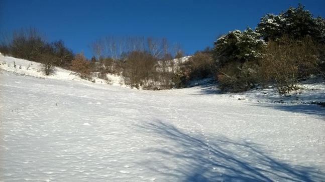 Name:  WP_20171225_09_29_25_Pro.jpg
Views: 877
Size:  35.5 KB