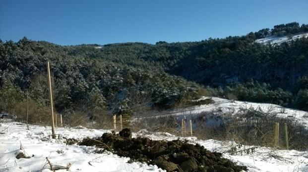 Name:  WP_20171225_10_35_23_Pro.jpg
Views: 940
Size:  41.4 KB