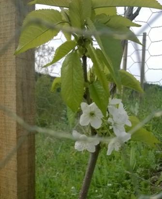 Name:  WP_20180416_09_00_45_Pro.jpg
Views: 661
Size:  22.5 KB