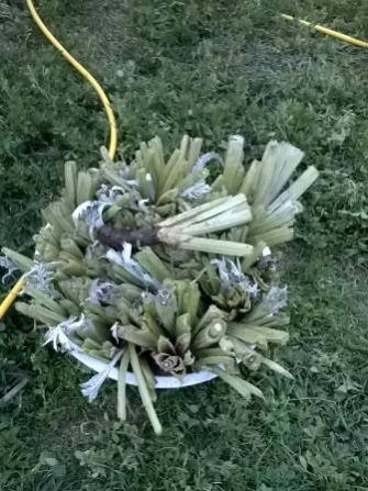 Name:  Enginarlar.jpg
Views: 601
Size:  36.5 KB