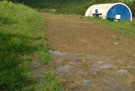 Name:  WP_20180509_17_19_03_Pro.jpg
Views: 937
Size:  24.6 KB