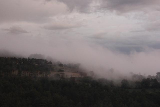 Name:  IMG_6047.jpg
Views: 1017
Size:  15.3 KB