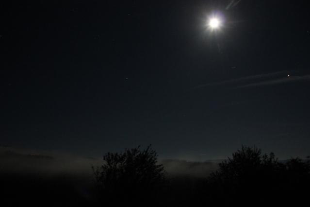 Name:  IMG_5959.jpg
Views: 1055
Size:  8.8 KB